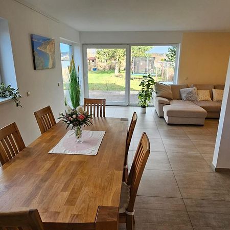 Sehr Schoenes Und Grosses Haus In Dresden - Partys Und Andere Feierlichkeiten Sind Wegen Eventueller Laermbelaestigung Nicht Gestattet エクステリア 写真